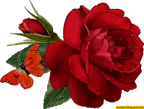 Butterfly Next To Red Rose Sticker