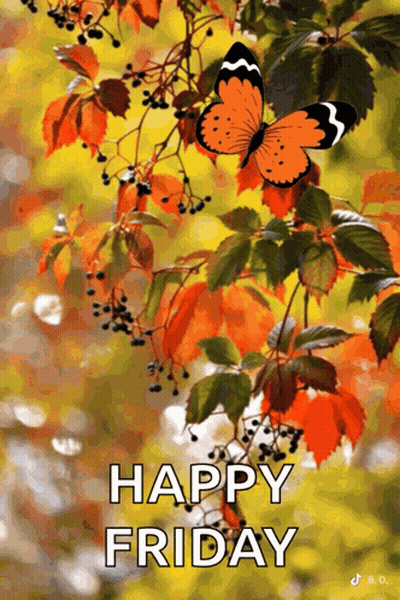 Butterfly On Branch Saying Happy Friday GIF