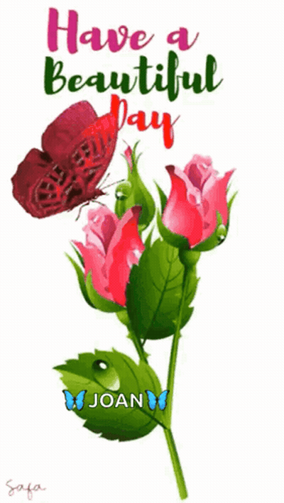 Butterfly On Flower Saying Have A Beautiful Day Joan GIF