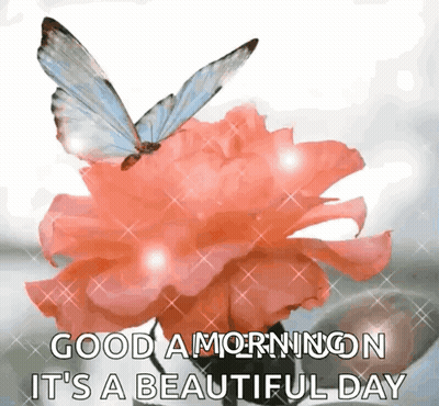 Butterfly On Pink Flower Good Morning Beautiful Day GIF