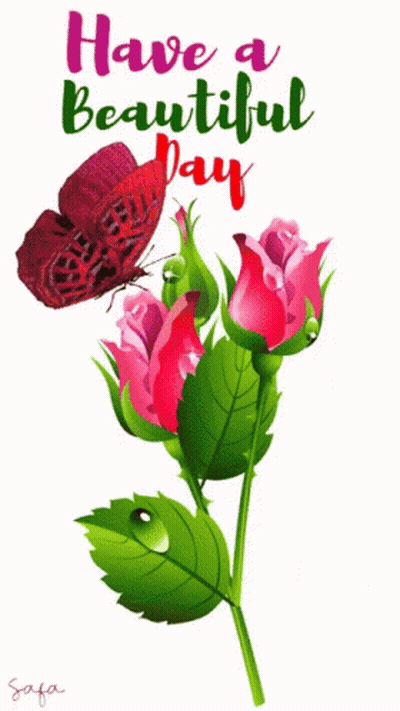 Butterfly On Pink Rose Saying Have A Beautiful Day GIF