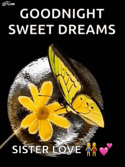 Butterfly On Yellow Flower Saying Goodnight Sweet Dreams Sister Love GIF