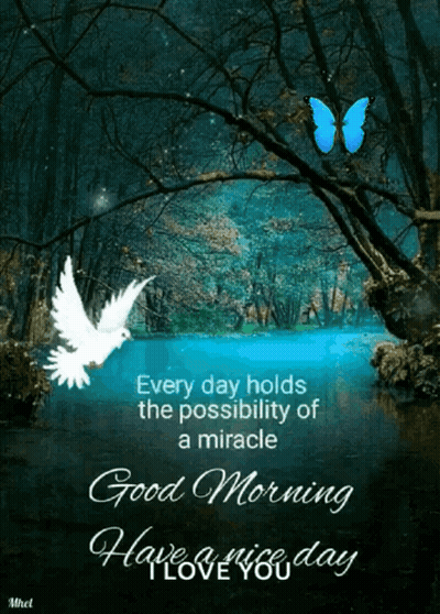 Butterfly Over Water Saying Every Day Holds A Miracle GIF