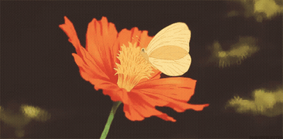 Butterfly Perched On Red Flower Saying Butterfly GIF