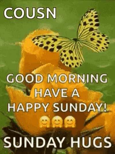 Butterfly Saying Good Morning Have Happy Sunday GIF