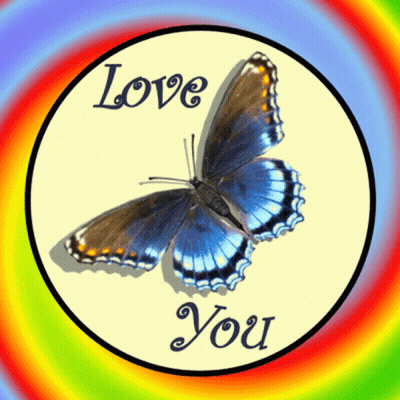Butterfly Saying Love You GIF