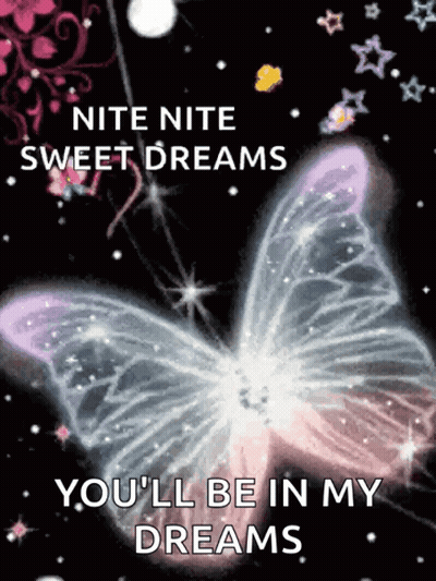 Butterfly Saying Nite Nite Sweet Dreams GIF