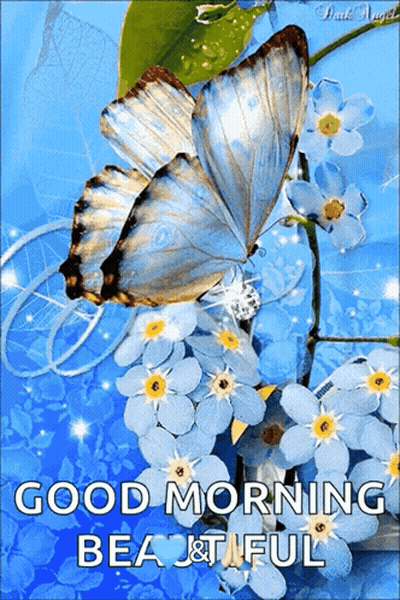 Butterfly Sitting On Flower Good Morning Beautiful GIF