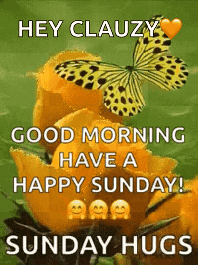 Butterfly Sitting On Flower Good Morning GIF