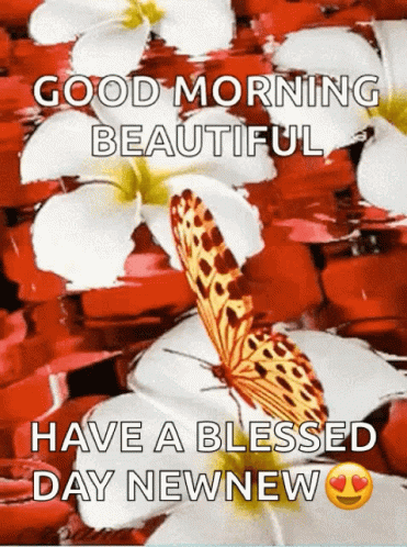 Butterfly Sitting On Flower Saying Good Morning GIF