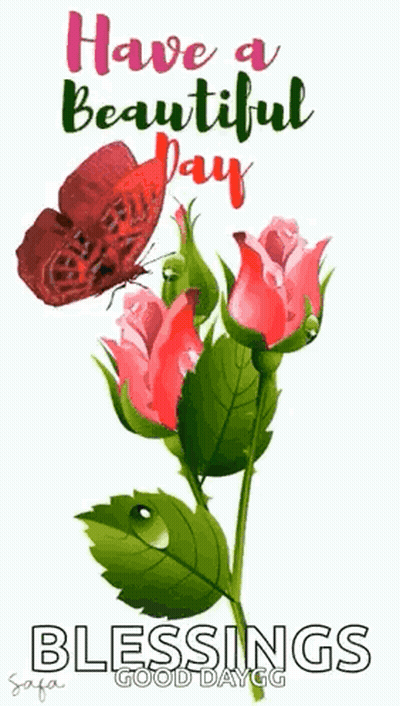Butterfly Sitting On Pink Rose Have A Beautiful Day Blessings Good Daygg GIF