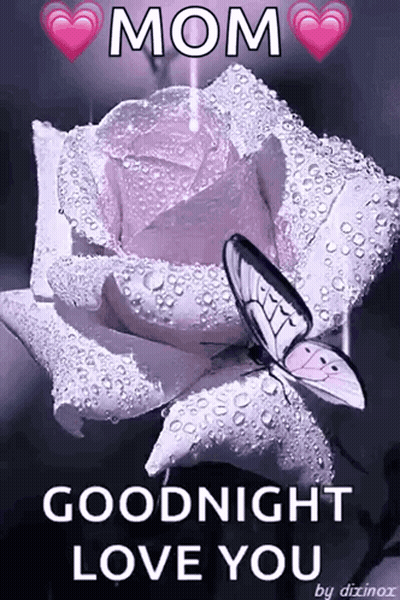 Butterfly Sitting On Purple Rose GIF