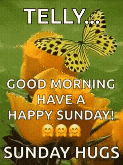 Butterfly Sitting On Yellow Flower GIF