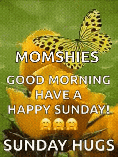 Butterfly Sitting On Yellow Flower Saying Good Morning GIF