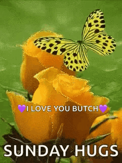 Butterfly Sitting On Yellow Rose I Love You GIF