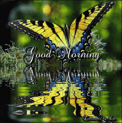 Butterfly With Good Morning Text GIF