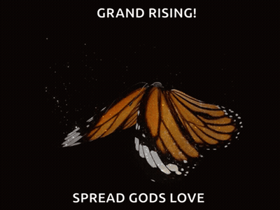 Butterfly With Grand Rising Spread Gods Love GIF