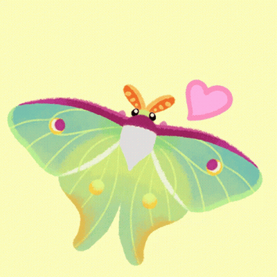 Butterfly With Pink Heart On Yellow Background GIF