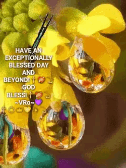 Butterfly Yellow GIF