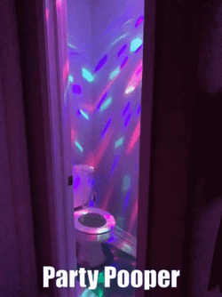 Buzz Kill Toilet Disco Lights Meme GIF