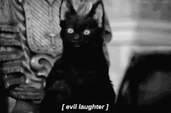 Bwahaha Evil Laugh Black Cat GIF