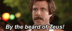 By The Beard Of Zeus GIF
