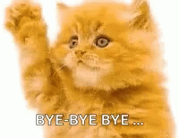 Bye Bye Bye Ginger Kitty Waving GIF