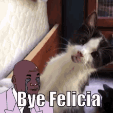 Bye Felicia Cat Walk Out GIF