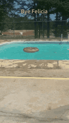 Bye Felicia Reverse Dive GIF