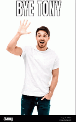 Bye Tony Waving Goodbye GIF