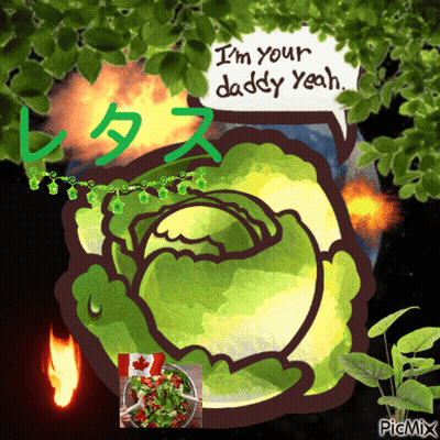 Cabbage Saying Im Your Daddy Yeah