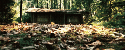 Cabin In The Woods With Leaves GIF