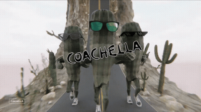 Cacti Wearing Sunglasses With Coachella GIF