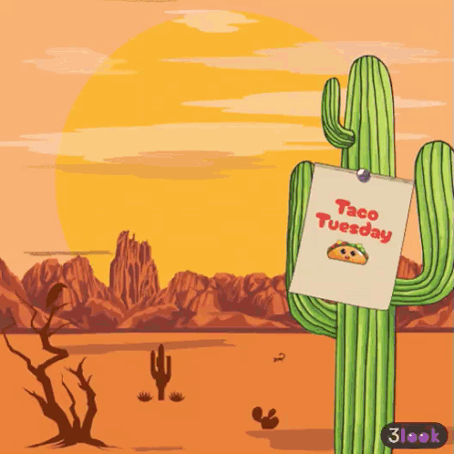 Cactus Holding Taco Tuesday Sign GIF