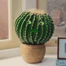 Cactus Human Eyes Mouth Shaking Head GIF