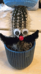 Cactus Mustache Crocheted Hat GIF