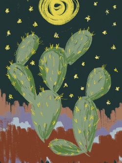 Cactus Under Starry Night Sky GIF