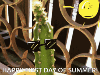 Cactus Wearing Sunglasses Happy First Day Of Summer GIF