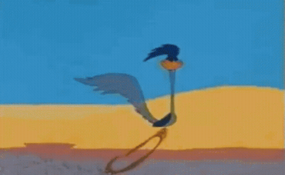 Cactus With Bird On Its Back GIF