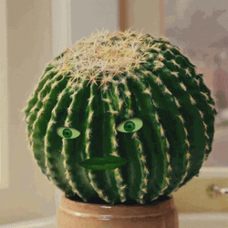 Cactus With Human Mouth And Eyes GIF