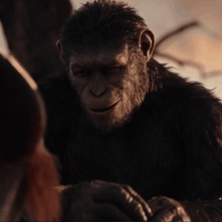 Caesar Good Advice GIF