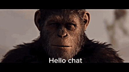 Caesar Hello Chat GIF