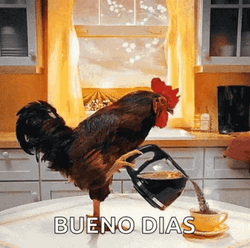 Cafe Buenos Dias GIF