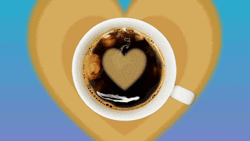Cafe Buenos Dias GIF