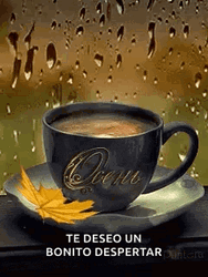 Cafe Buenos Dias GIF