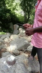 Cake Thief Monkey GIF