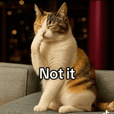 Calico Cat Covering Face With Paw GIF