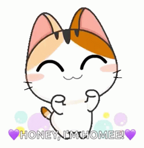 Calico Cat Holding Paws Up Honey I'm Home GIF