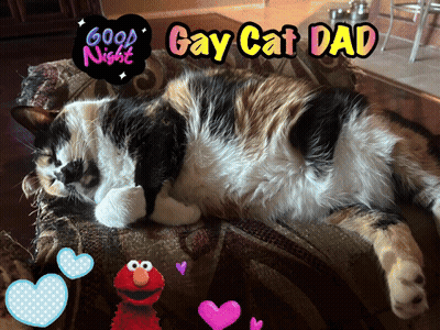 Calico Cat Lying On Couch GIF