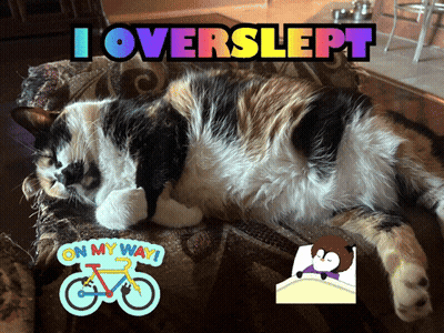Calico Cat Lying On Couch I Overslept GIF